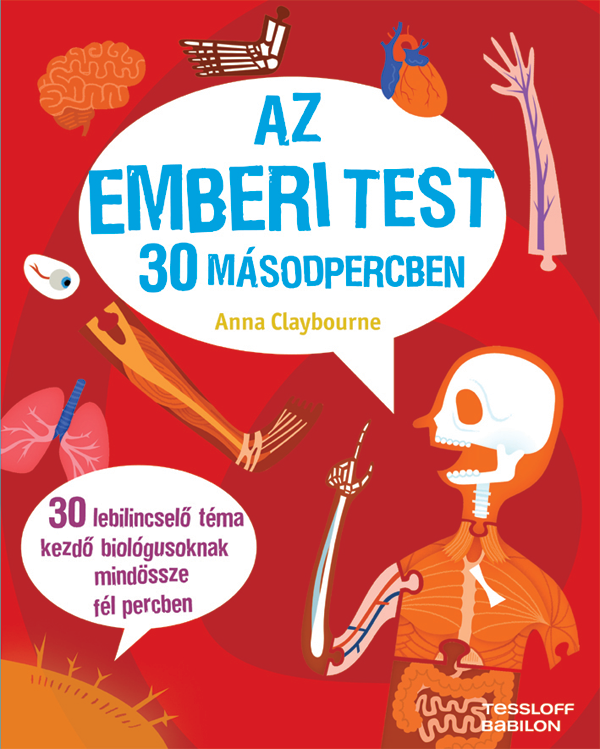 Az emberi test 30 másodpercben