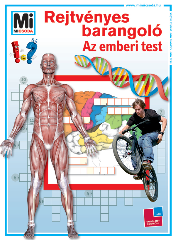 Mi MICSODA Rejtvényes barangoló – Az emberi test