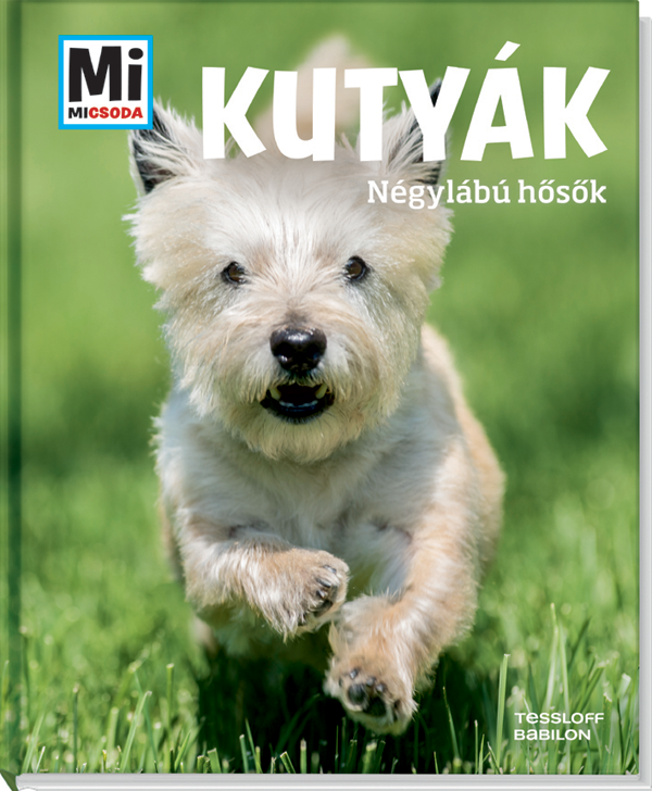 Mi MICSODA Kutyák – Négylábú hősök