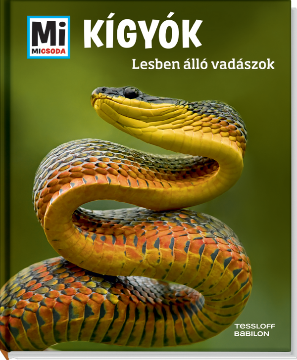 Mi MICSODA Kígyók – Lesben álló vadászok