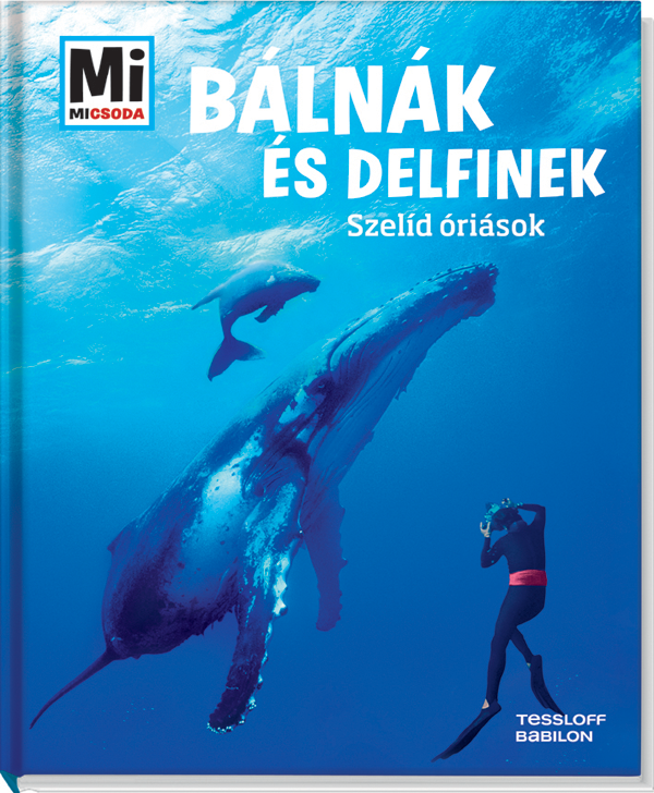 Mi MICSODA Bálnák és delfinek – Szelíd óriások