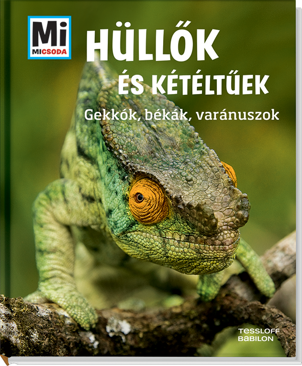 Mi MICSODA Hüllők és kétéltűek – Gekkók, békák, varánuszok