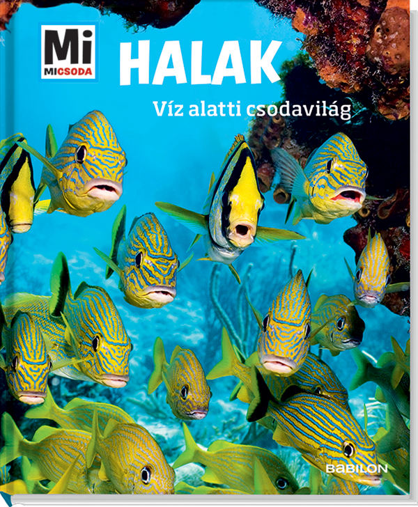 Mi MICSODA Halak – Víz alatti csodavilág
