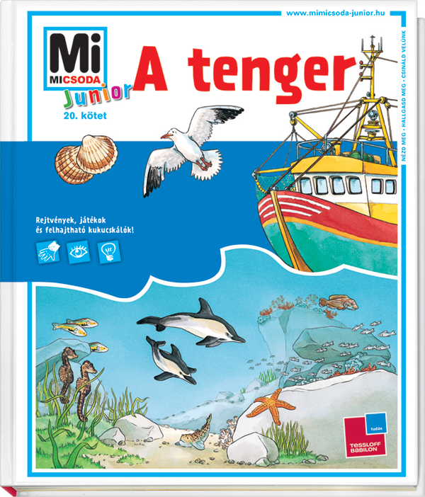 Mi MICSODA Junior A tenger