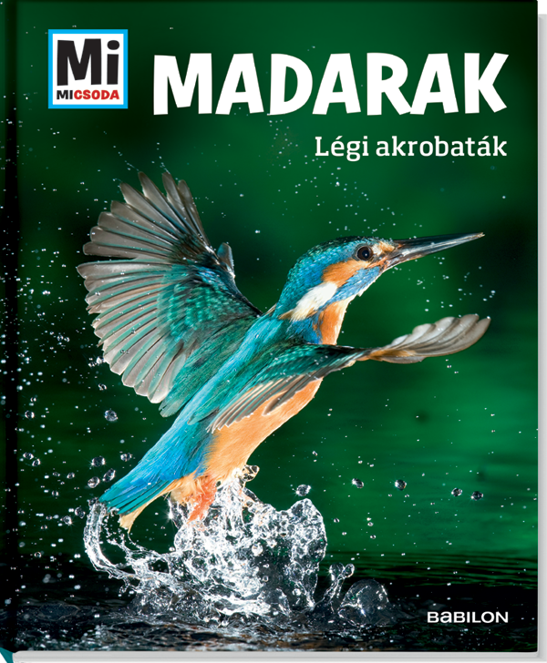 Mi MICSODA Madarak – Légi akrobaták