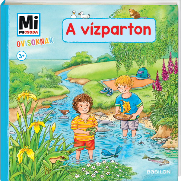 Mi MICSODA Ovisoknak – A vízparton