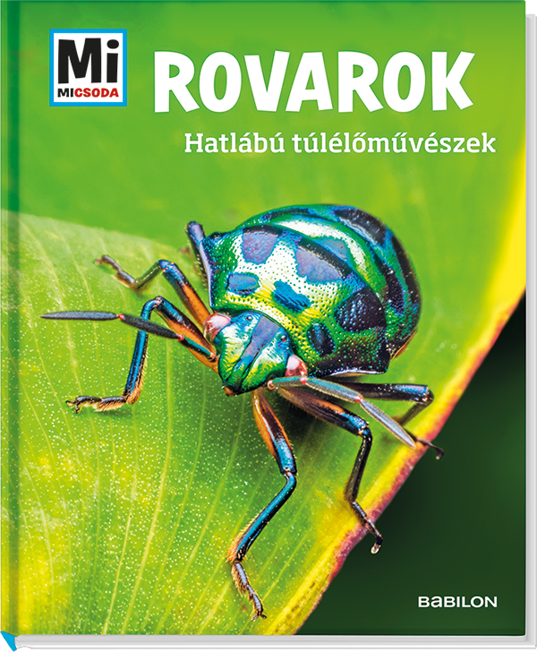 Mi MICSODA Rovarok – Hatlábú túlélőművészek