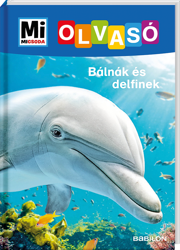 Mi MICSODA Olvasó – Bálnák és delfinek