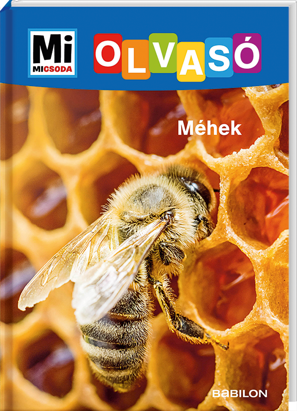 Mi MICSODA Olvasó – Méhek