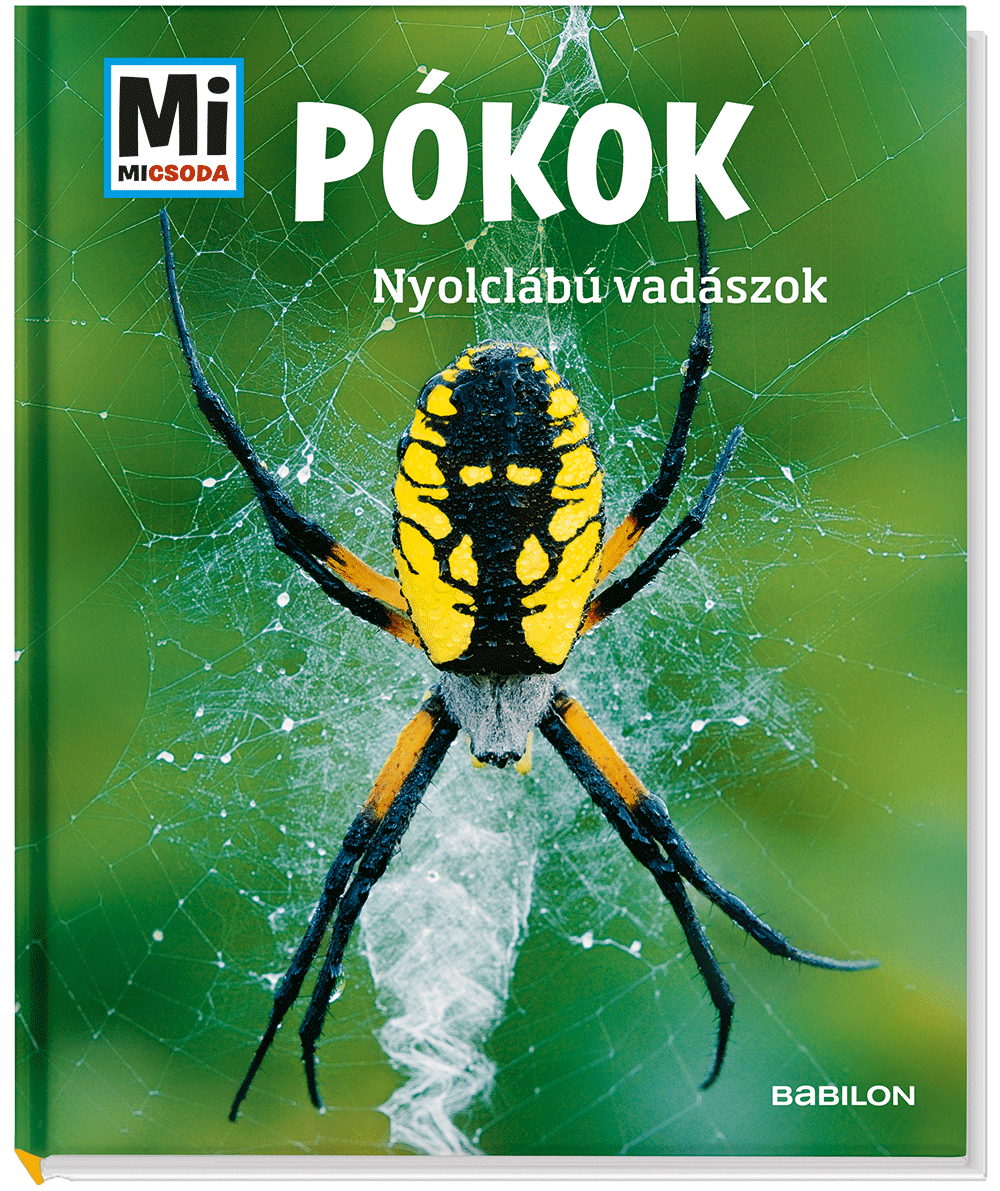 Mi MICSODA Pókok – Nyolclábú vadászok