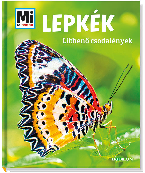 Mi MICSODA Lepkék – Libbenő csodalények
