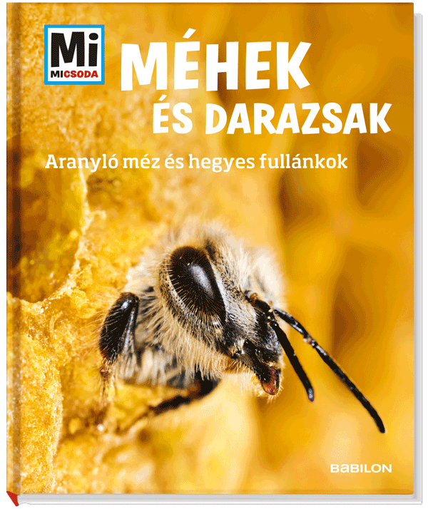 Mi MICSODA Méhek és darazsak – Aranyló méz és hegyes fullánkok