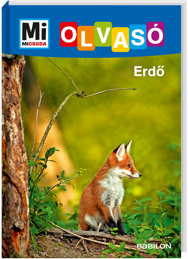 Mi MICSODA Olvasó – Erdo