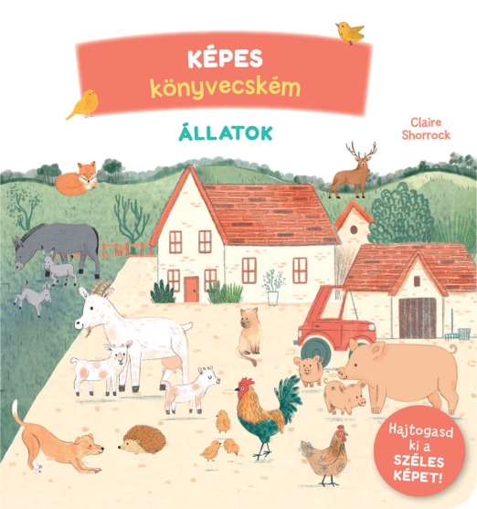 Képes könyvecském – Állatok