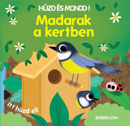 Húzd és mondd! – Madarak a kertben