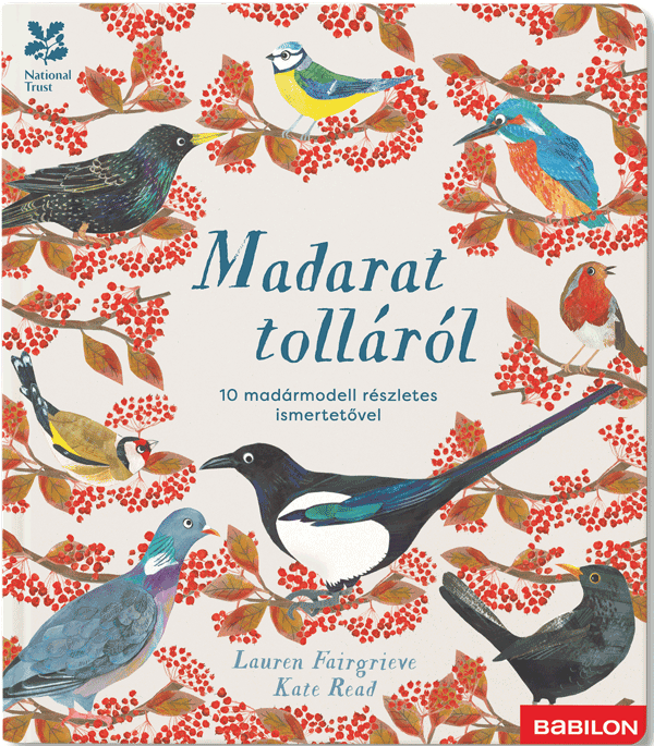 Madarat tolláról – 10 madármodell részletes ismertetovel