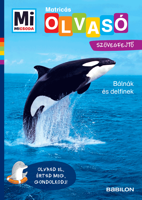 Mi MICSODA OLVASÓ – Matricás szövegfejtő – Bálnák és delfinek