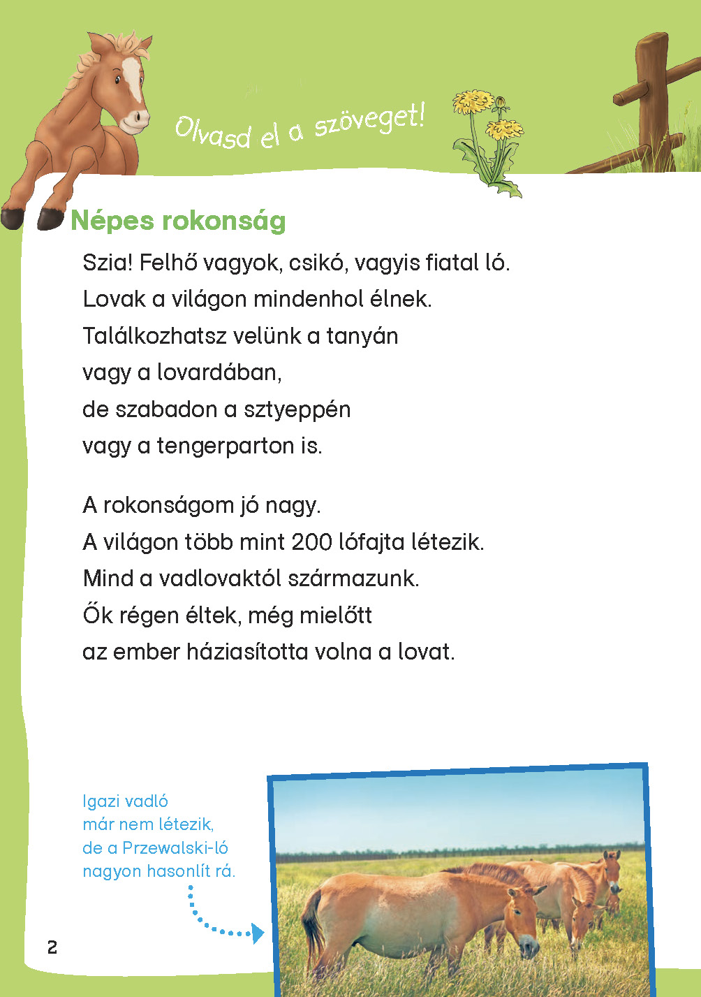 5624.jpg