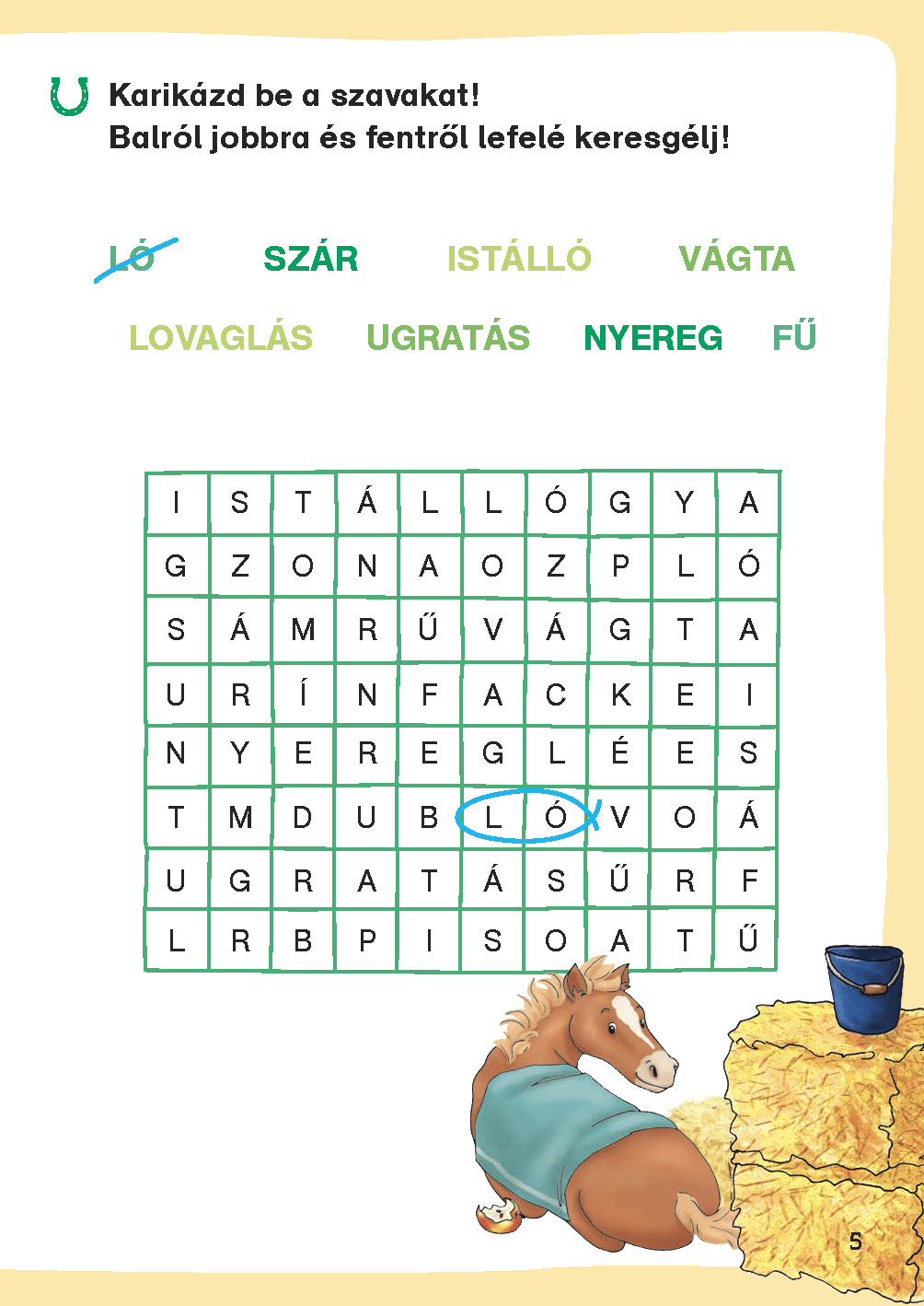 5627.jpg