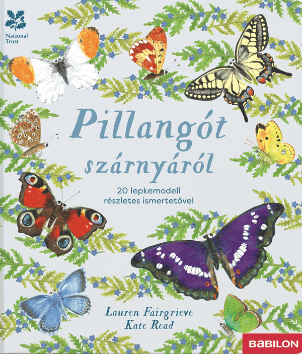 Pillangót szárnyáról – 20 lepkemodell részletes ismertetovel
