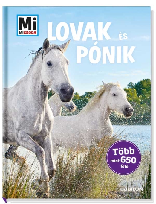Mi MICSODA Lovak és pónik – ALBUM