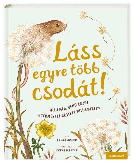 Láss egyre több csodát! – Állj meg, vedd észre a természet rejtett pillanatait!