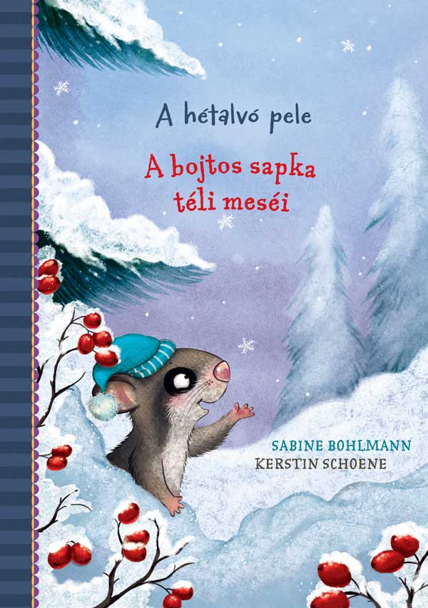 A bojtos sapka téli meséi