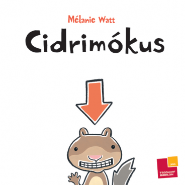 Rajziskola, kifestő, labirintus